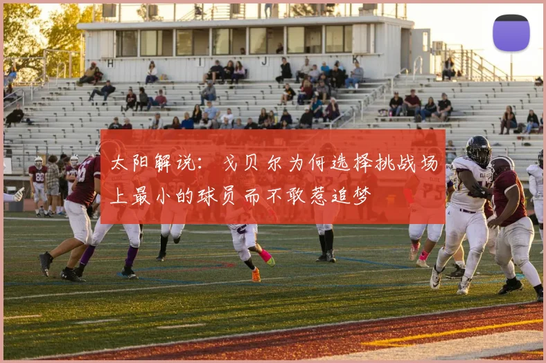 太阳解说：戈贝尔为何选择挑战场上最小的球员而不敢惹追梦