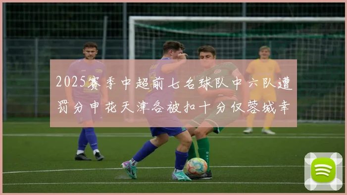 2025赛季中超前七名球队中六队遭罚分申花天津各被扣十分仅蓉城幸免