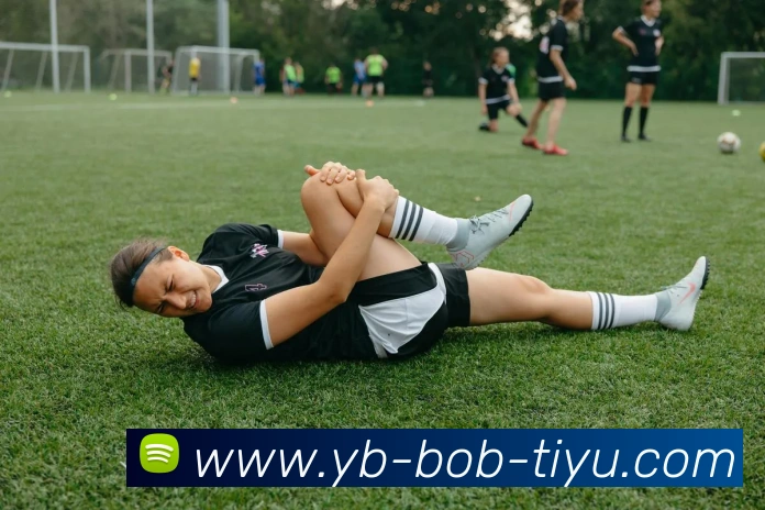 BOB体育品牌故事