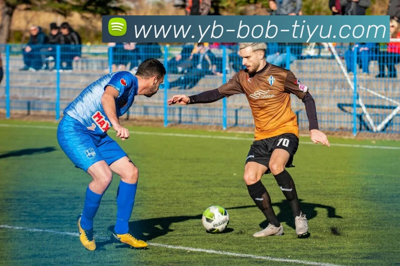 BOB体育服务体系